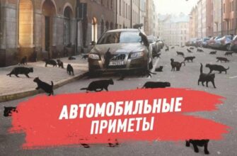 автомобильные приметы разных стран