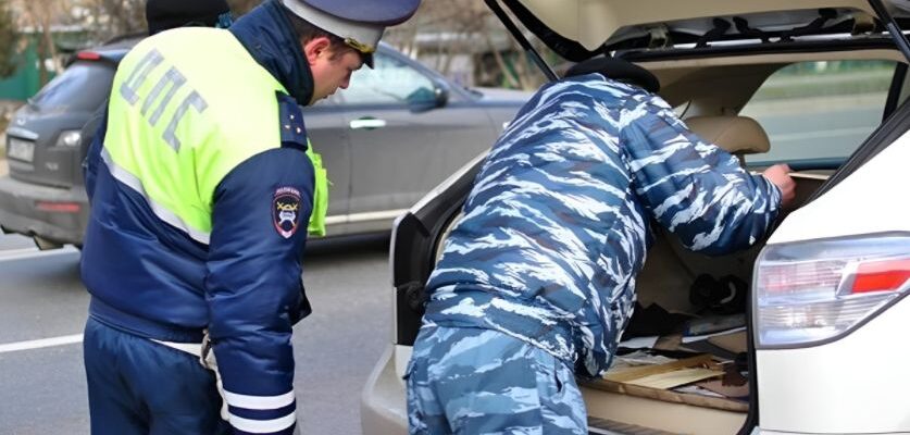 разница между осмотром и досмотром